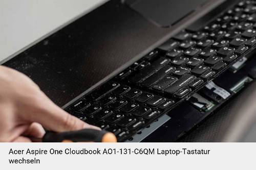 Acer Aspire One Cloudbook AO1-131-C6QM Laptop Tastatur-Reparatur