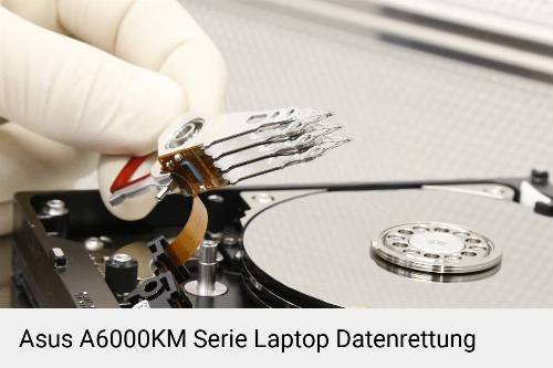 Asus A6000KM Serie Laptop Daten retten