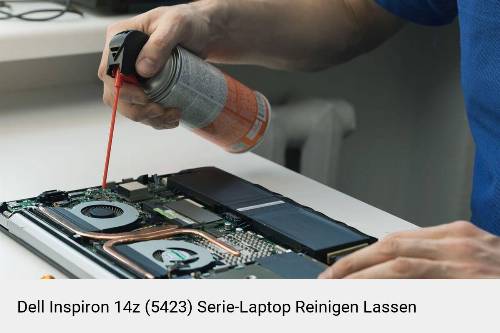 Dell Inspiron 14z (5423) Serie Laptop Innenreinigung Tastatur Lüfter