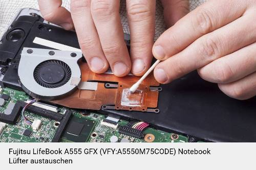 Fujitsu LifeBook A555 GFX (VFY:A5550M75CODE) Lüfter Laptop Deckel Reparatur