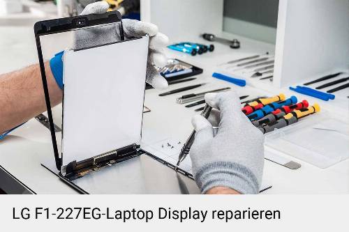 LG F1-227EG Notebook Display Bildschirm Reparatur