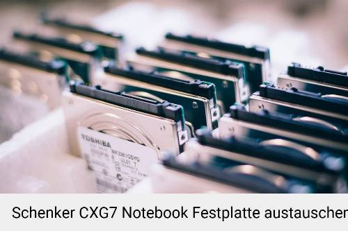 Schenker CXG7 Laptop SSD/Festplatten Reparatur