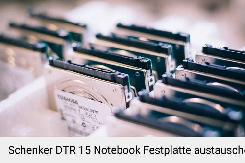 Schenker DTR 15 Laptop SSD/Festplatten Reparatur