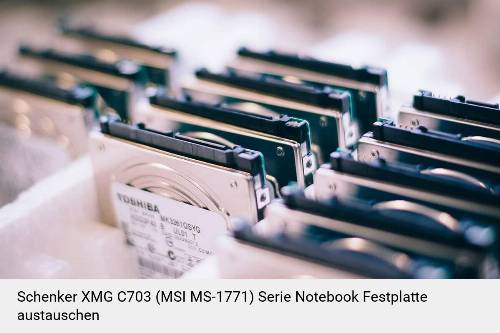 Schenker XMG C703 (MSI MS-1771) Serie Laptop SSD/Festplatten Reparatur