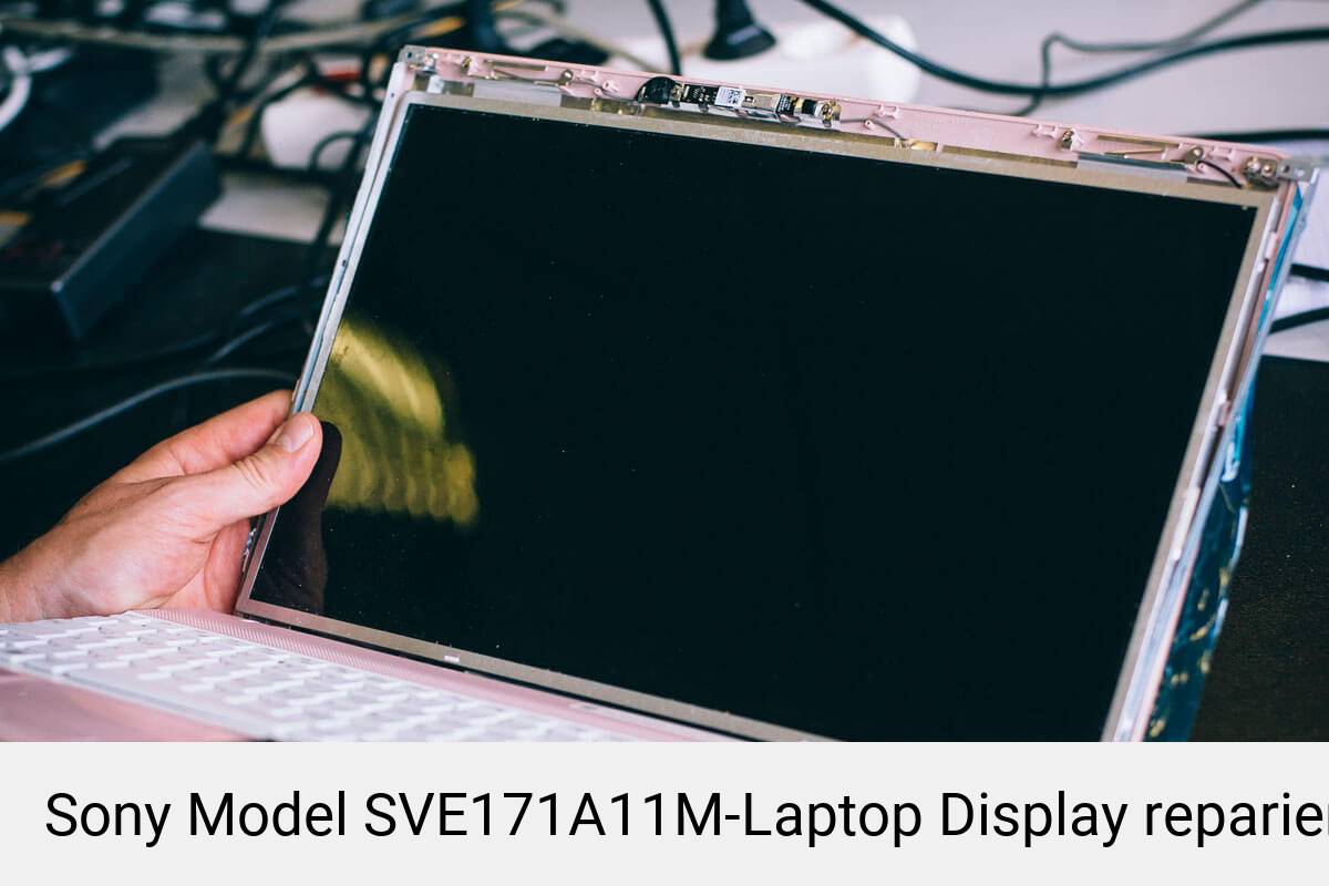 Sony Vaio SVE171A11M Grafikchip Reballing oder Austausch Reparatur 