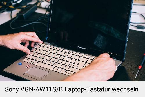 Sony VGN-AW11S/B Laptop Tastatur-Reparatur