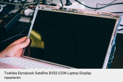 Toshiba Dynabook Satellite B352-CGW Notebook Display Bildschirm Reparatur