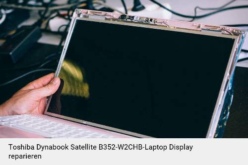 Toshiba Dynabook Satellite B352-W2CHB Notebook Display Bildschirm Reparatur