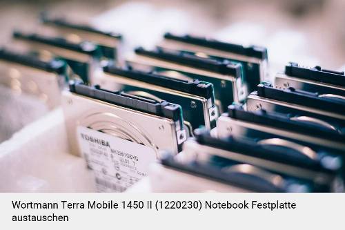 Wortmann Terra Mobile 1450 II (1220230) Laptop SSD/Festplatten Reparatur