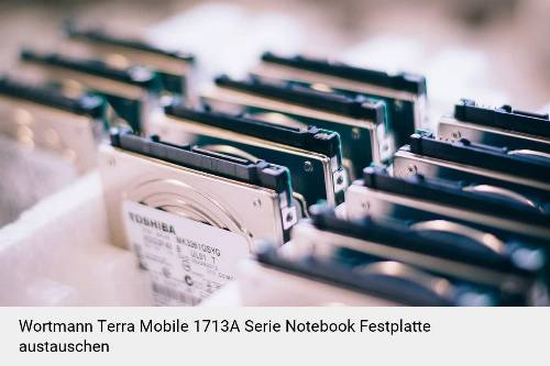 Wortmann Terra Mobile 1713A Serie Laptop SSD/Festplatten Reparatur